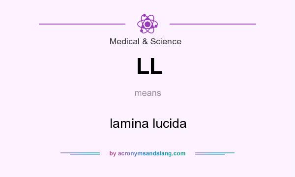 What does LL mean? It stands for lamina lucida