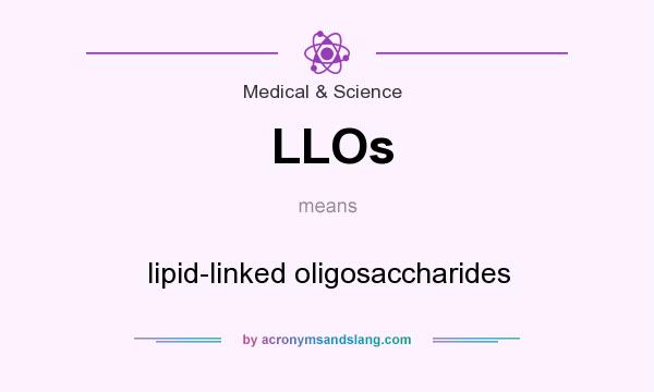 What does LLOs mean? It stands for lipid-linked oligosaccharides