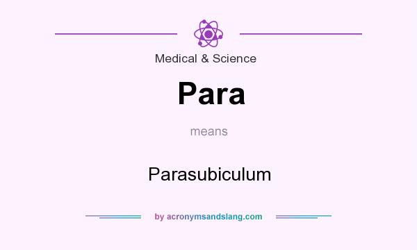 What does Para mean? It stands for Parasubiculum
