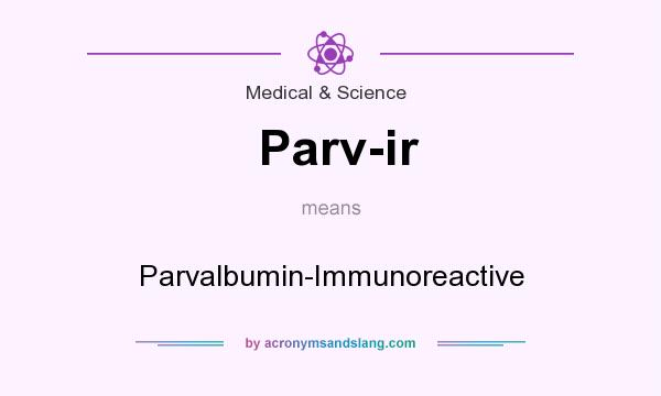 What does Parv-ir mean? It stands for Parvalbumin-Immunoreactive