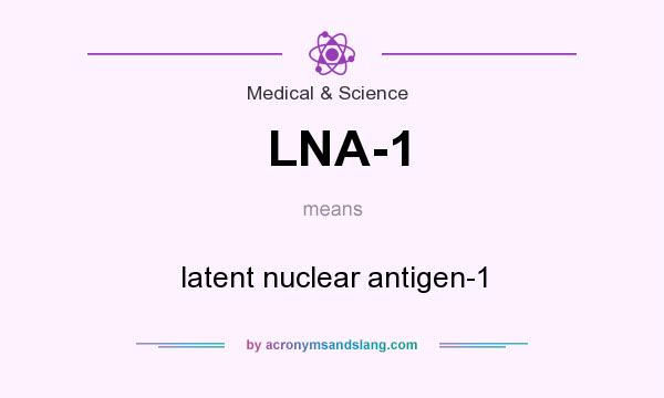 What does LNA-1 mean? It stands for latent nuclear antigen-1
