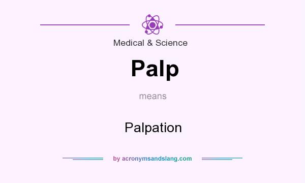 What does Palp mean? It stands for Palpation