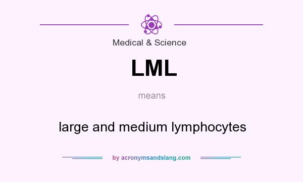 What does LML mean? It stands for large and medium lymphocytes