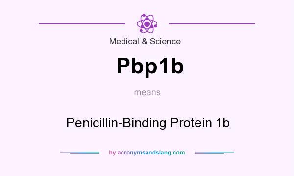 What does Pbp1b mean? It stands for Penicillin-Binding Protein 1b