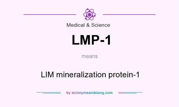 What does LMP-1 mean? It stands for LIM mineralization protein-1
