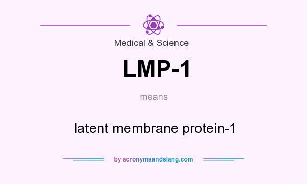 What does LMP-1 mean? It stands for latent membrane protein-1