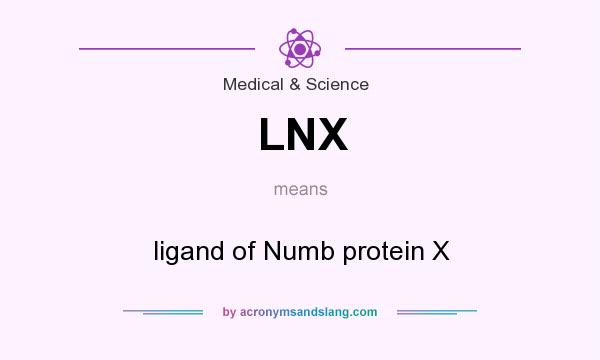 What does LNX mean? It stands for ligand of Numb protein X