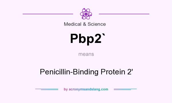 What does Pbp2` mean? It stands for Penicillin-Binding Protein 2`