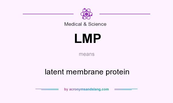 What does LMP mean? It stands for latent membrane protein