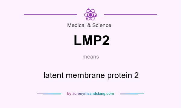 What does LMP2 mean? It stands for latent membrane protein 2