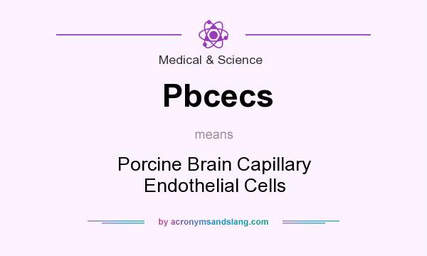 What does Pbcecs mean? It stands for Porcine Brain Capillary Endothelial Cells