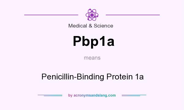 What does Pbp1a mean? It stands for Penicillin-Binding Protein 1a