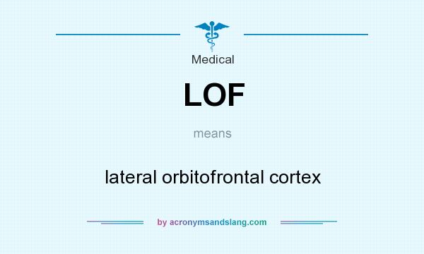 What does LOF mean? It stands for lateral orbitofrontal cortex
