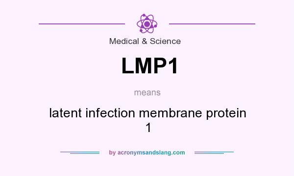 What does LMP1 mean? It stands for latent infection membrane protein 1