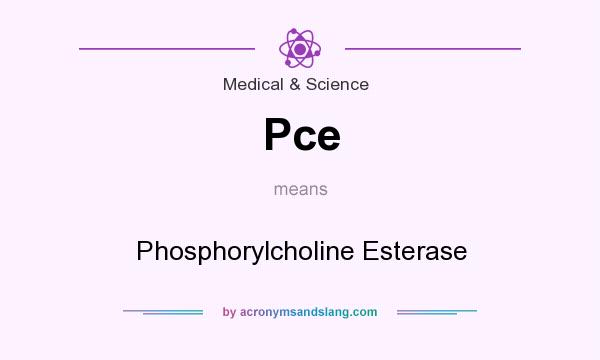 What does Pce mean? It stands for Phosphorylcholine Esterase