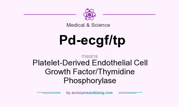 What does Pd-ecgf/tp mean? It stands for Platelet-Derived Endothelial Cell Growth Factor/Thymidine Phosphorylase