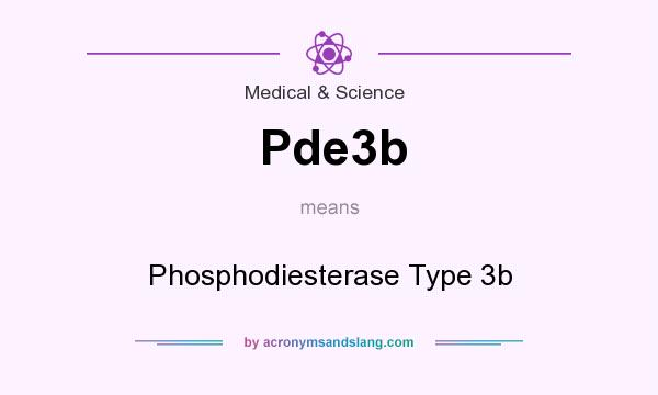 What does Pde3b mean? It stands for Phosphodiesterase Type 3b