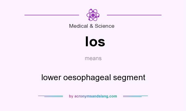 What does los mean? It stands for lower oesophageal segment