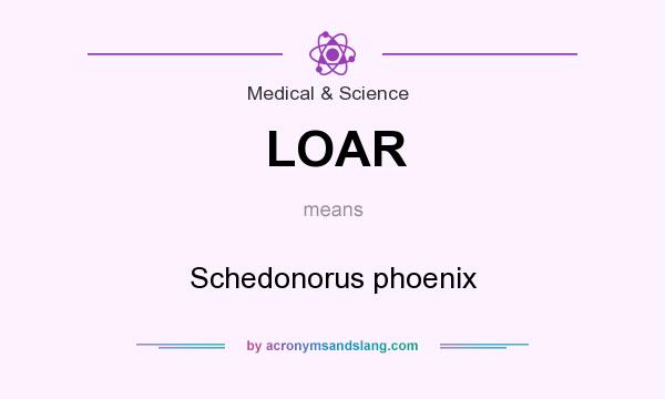 What does LOAR mean? It stands for Schedonorus phoenix