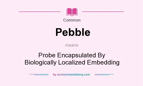 What does Pebble mean? It stands for Probe Encapsulated By Biologically Localized Embedding