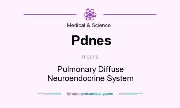 What does Pdnes mean? It stands for Pulmonary Diffuse Neuroendocrine System