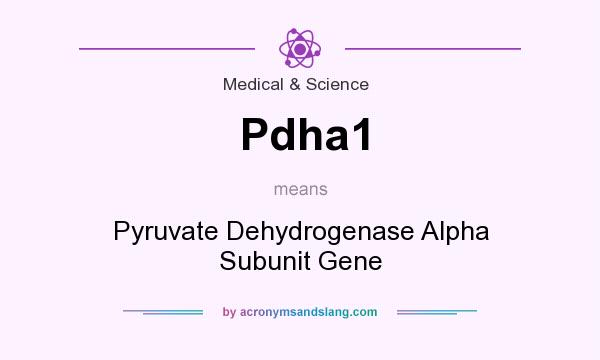 What does Pdha1 mean? It stands for Pyruvate Dehydrogenase Alpha Subunit Gene