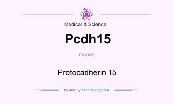 What does Pcdh15 mean? It stands for Protocadherin 15