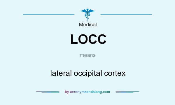 What does LOCC mean? It stands for lateral occipital cortex