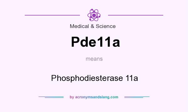 What does Pde11a mean? It stands for Phosphodiesterase 11a