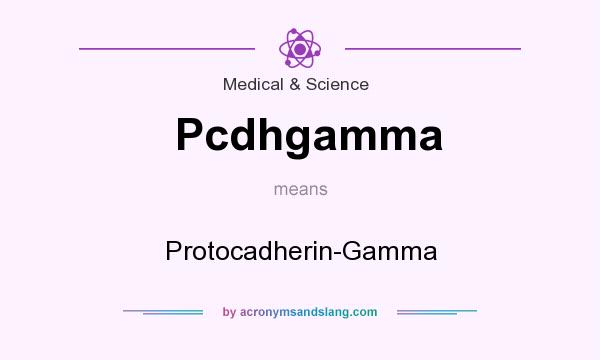 What does Pcdhgamma mean? It stands for Protocadherin-Gamma