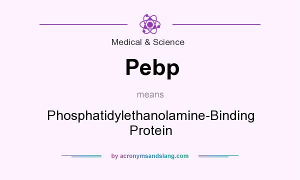 What does Pebp mean? It stands for Phosphatidylethanolamine-Binding Protein