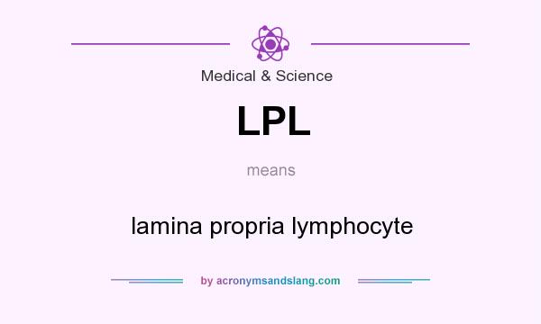 What does LPL mean? It stands for lamina propria lymphocyte