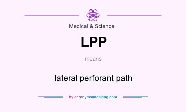 What does LPP mean? It stands for lateral perforant path