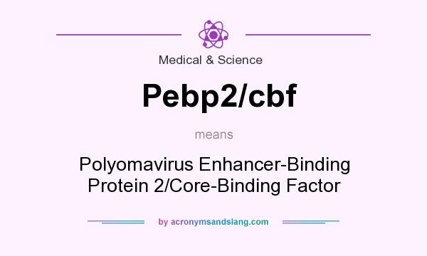 What does Pebp2/cbf mean? It stands for Polyomavirus Enhancer-Binding Protein 2/Core-Binding Factor