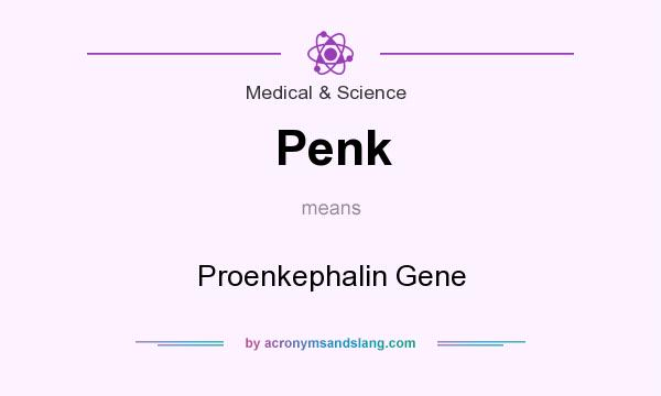 What does Penk mean? It stands for Proenkephalin Gene