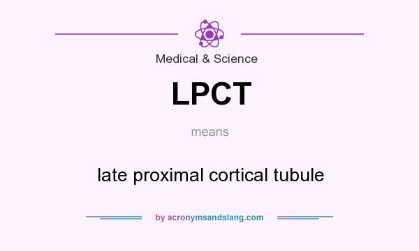 What does LPCT mean? It stands for late proximal cortical tubule