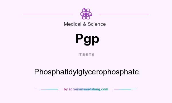 What does Pgp mean? It stands for Phosphatidylglycerophosphate