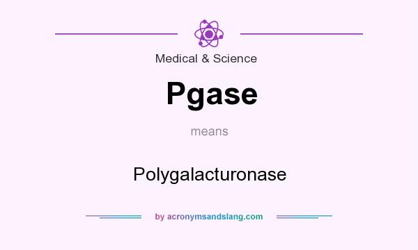 What does Pgase mean? It stands for Polygalacturonase