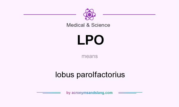 What does LPO mean? It stands for lobus parolfactorius