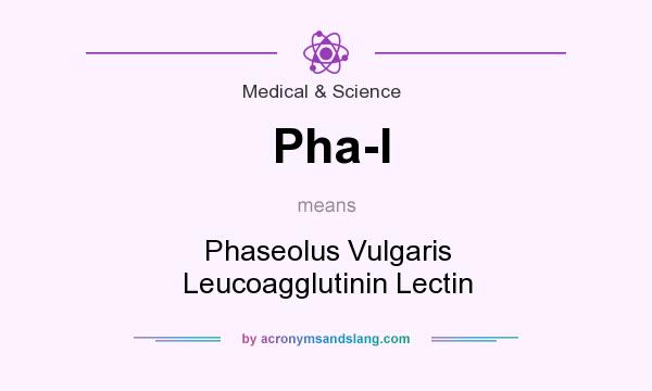 What does Pha-l mean? It stands for Phaseolus Vulgaris Leucoagglutinin Lectin
