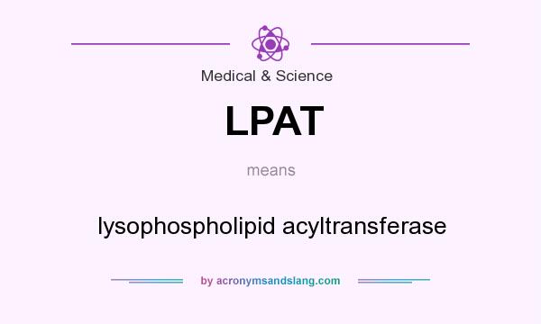 What does LPAT mean? It stands for lysophospholipid acyltransferase