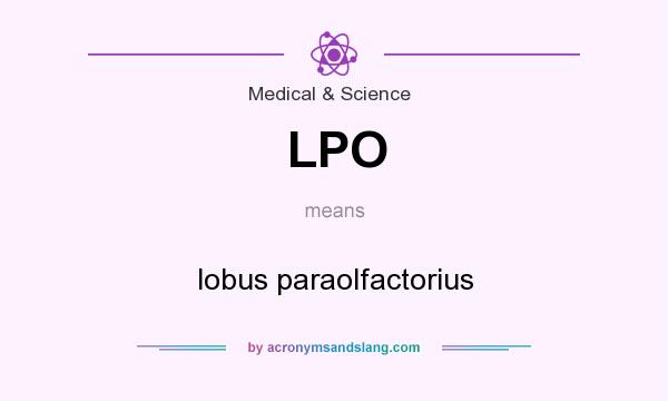 What does LPO mean? It stands for lobus paraolfactorius