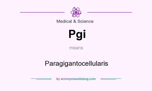 What does Pgi mean? It stands for Paragigantocellularis