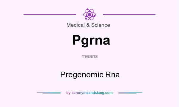 What does Pgrna mean? It stands for Pregenomic Rna
