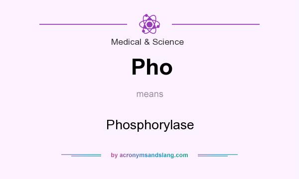 What does Pho mean? It stands for Phosphorylase