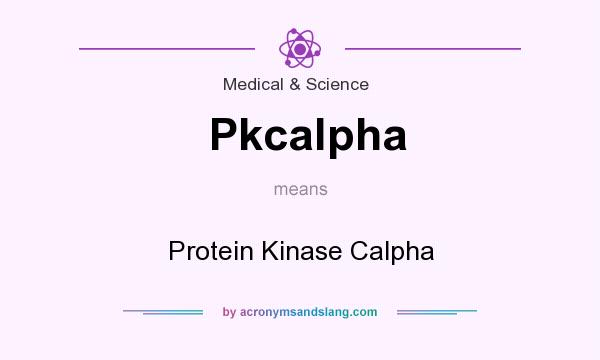 What does Pkcalpha mean? It stands for Protein Kinase Calpha