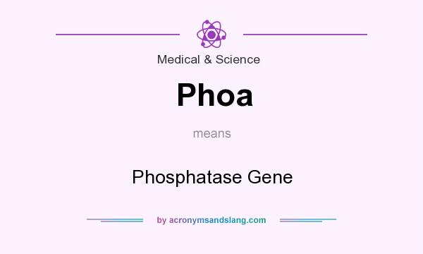 What does Phoa mean? It stands for Phosphatase Gene