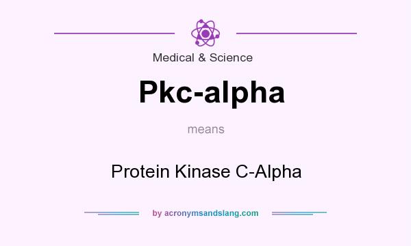 What does Pkc-alpha mean? It stands for Protein Kinase C-Alpha
