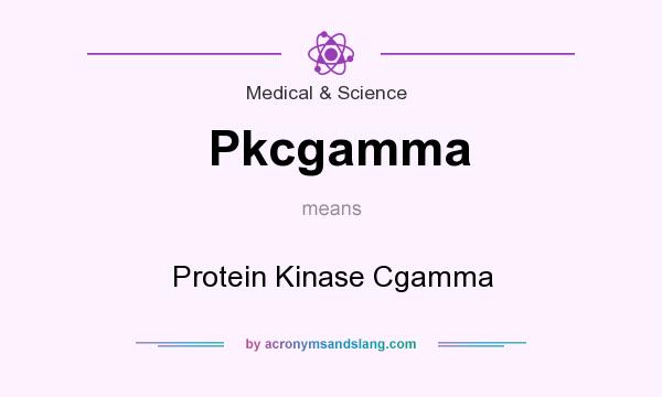 What does Pkcgamma mean? It stands for Protein Kinase Cgamma