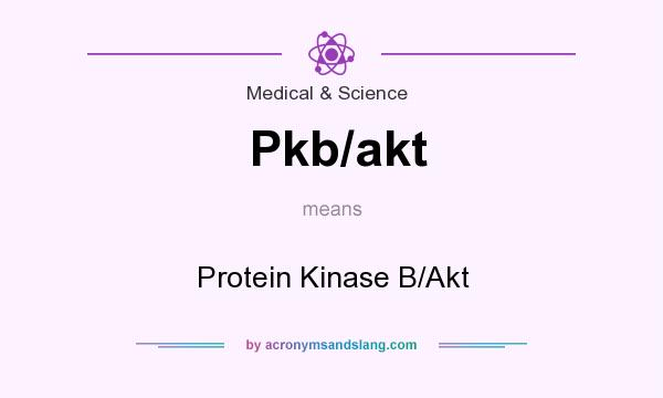 What does Pkb/akt mean? It stands for Protein Kinase B/Akt